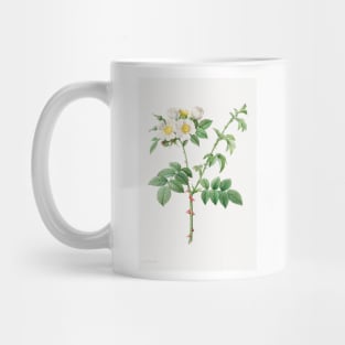 Brier Bush Rose or Dog Rose (Rosa Leucantha) (1817–1824) by Pierre-Joseph Redouté and Henry Joseph Redouté Mug